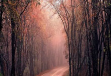 为什么要强调布线标准和机房标准!